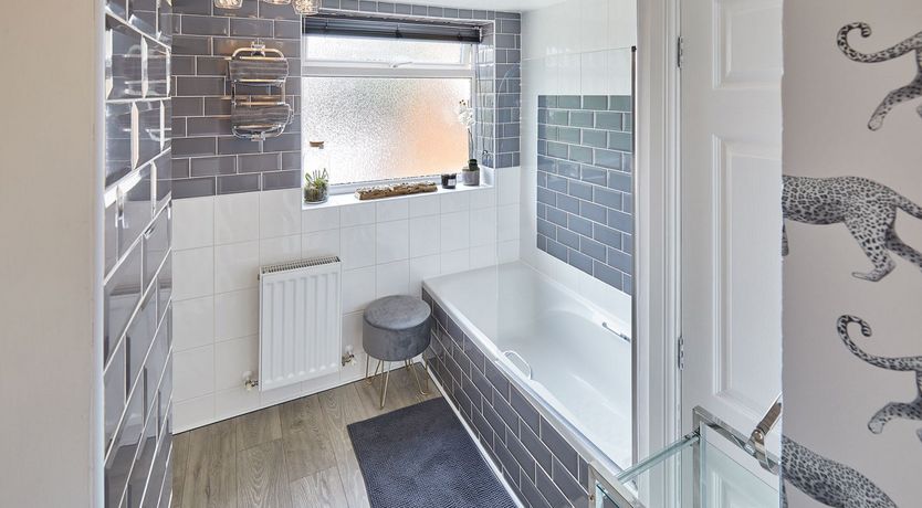 Photo of Love Song for the Count