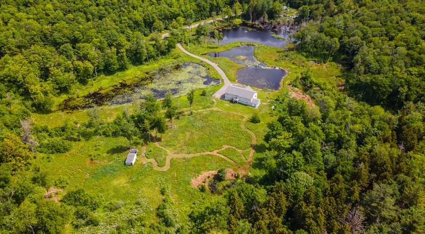 Photo of Ponder & Wander