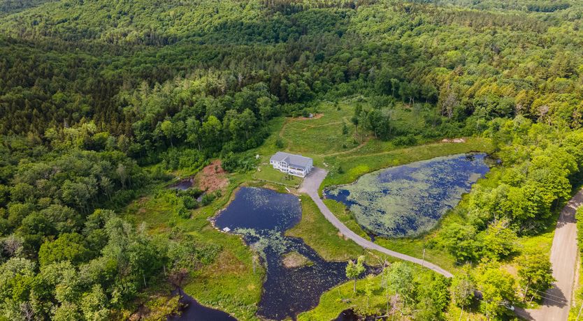 Photo of Ponder & Wander