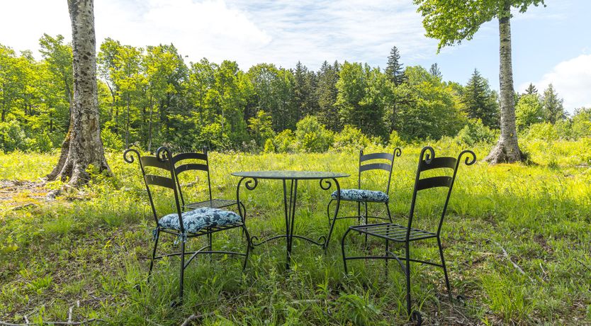 Photo of Ponder & Wander