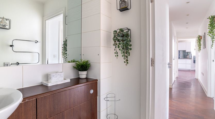 Photo of Velvet & Pink