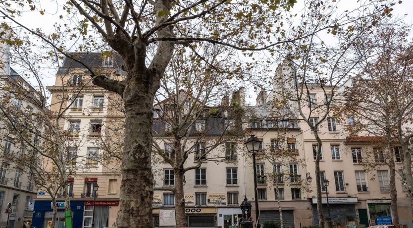 Photo of Summer Studio