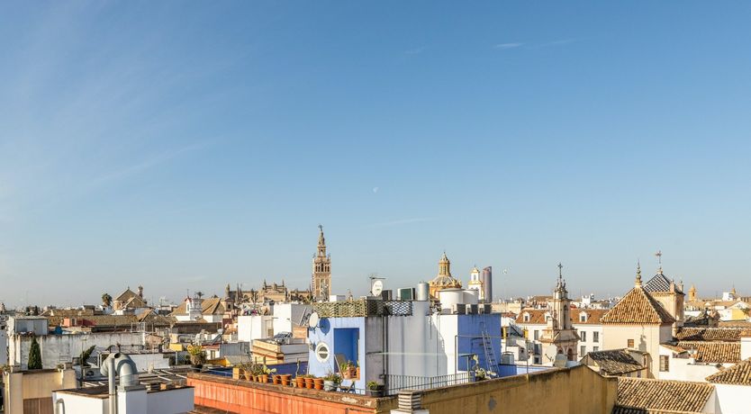 Photo of Terrace Siesta