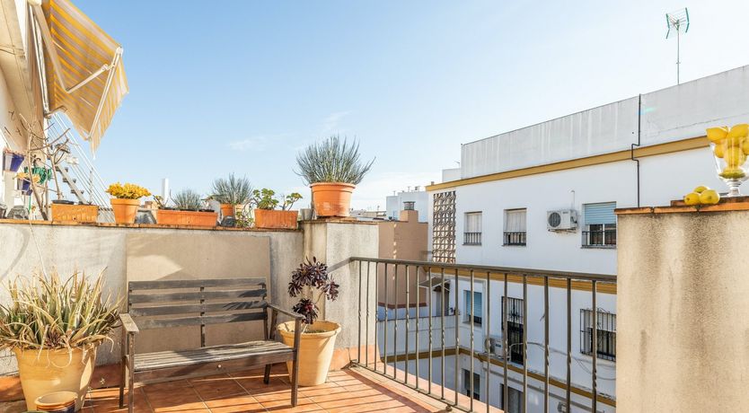 Photo of Terrace Siesta