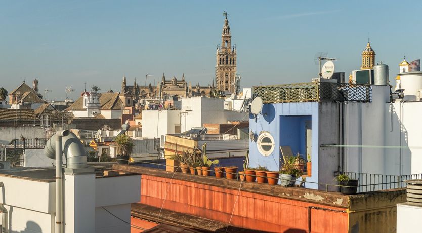 Photo of Terrace Siesta