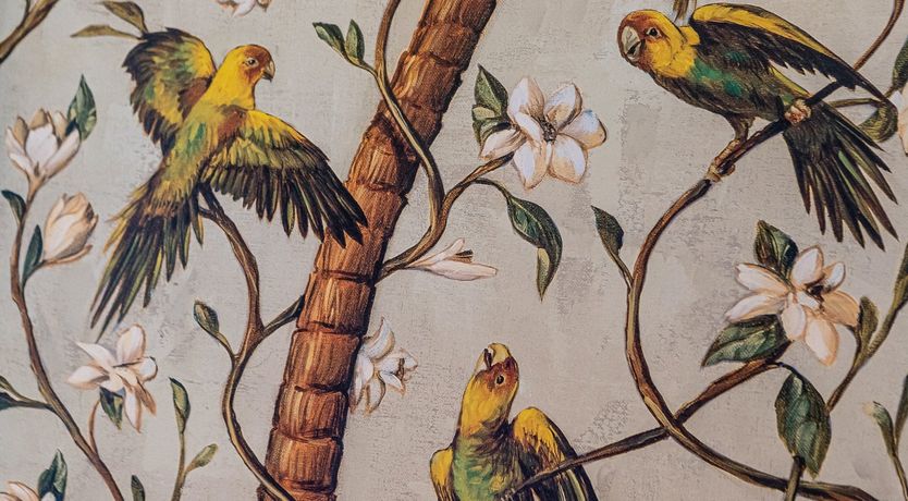 Photo of The Palace Window