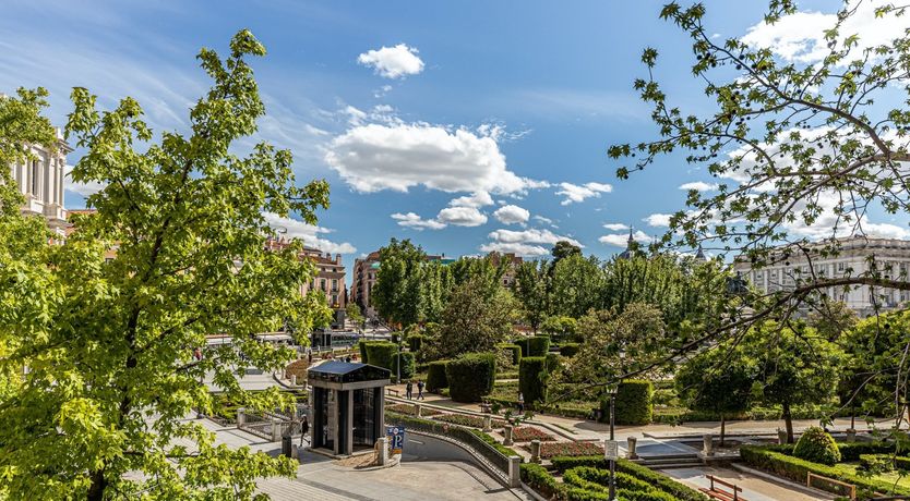 Photo of The Palace Window
