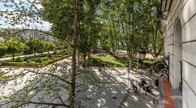 Photo of The Palace Window