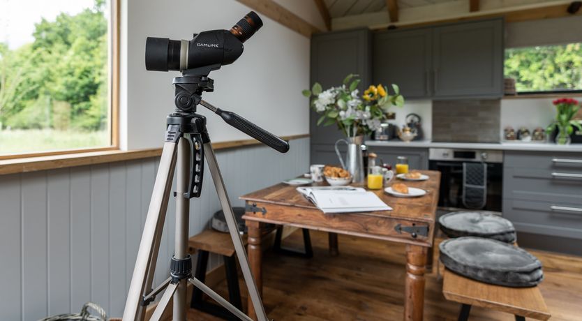 Photo of Wildflower Hideaway