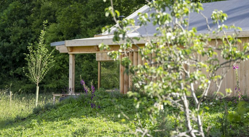 Photo of Wildflower Hideaway