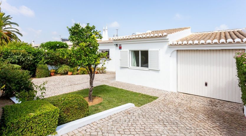 Photo of Papaya Sunshine