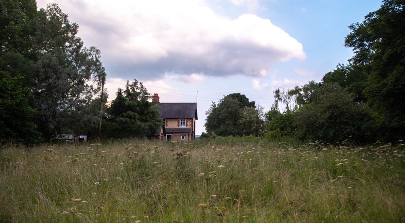 Photo of Cottagecore