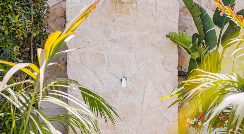 Photo of Villagonia Blue