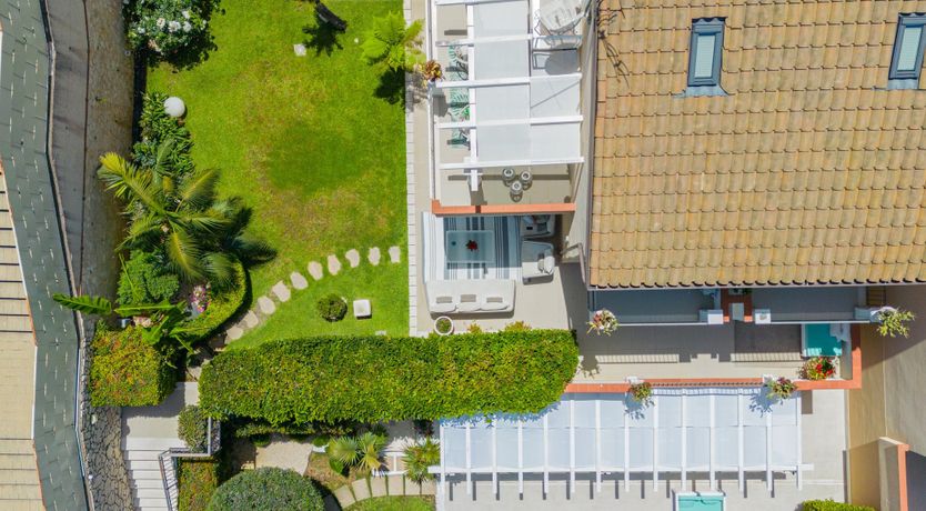 Photo of Villagonia Blue