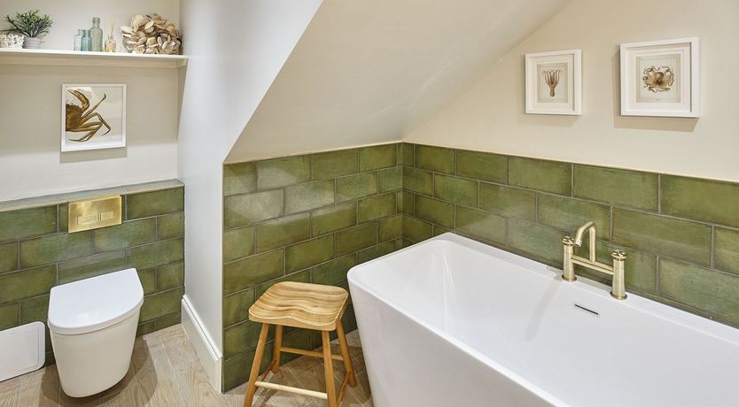 Photo of The Salt Collector