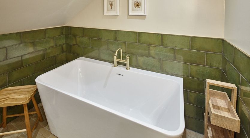 Photo of The Salt Collector