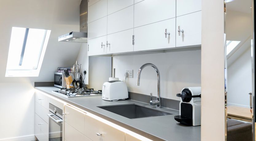 Photo of Aspidistra Flying