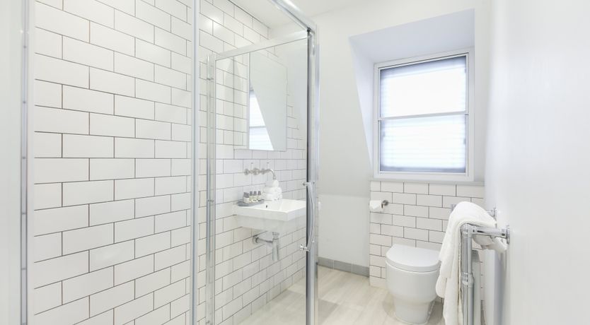 Photo of Aspidistra Flying