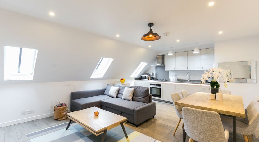 Photo of Aspidistra Flying