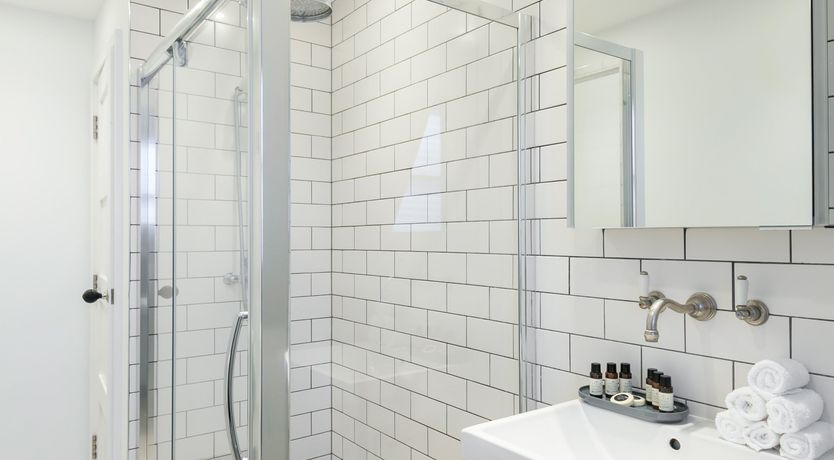 Photo of Aspidistra Flying