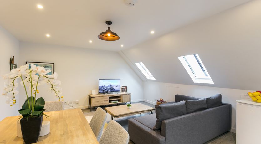 Photo of Aspidistra Flying