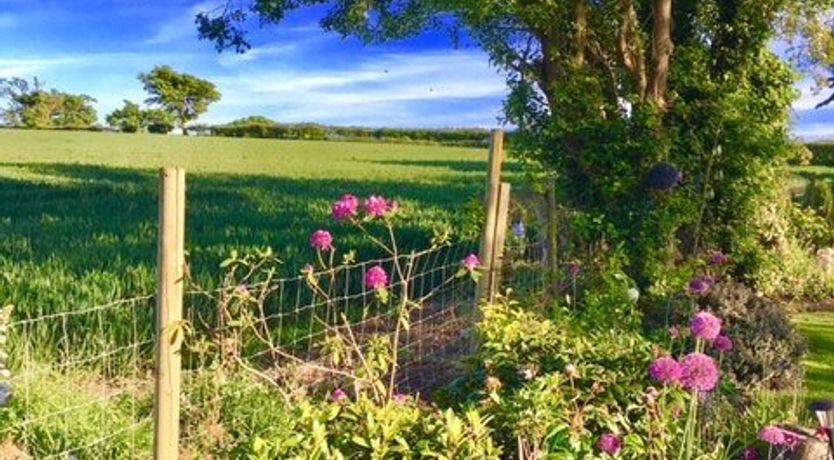 Photo of Neptune & Rose