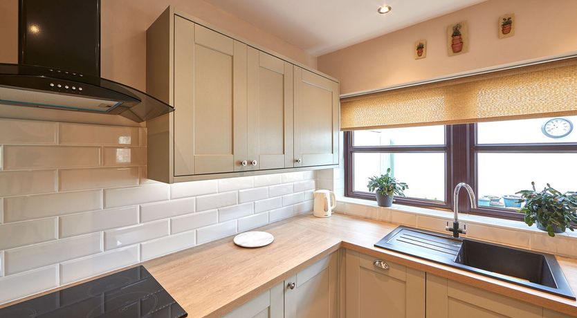 Photo of Begonia Bloom