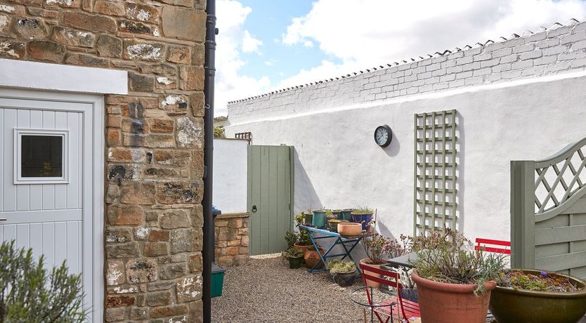 Photo of Begonia Bloom