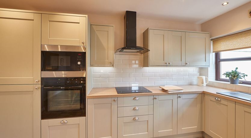 Photo of Begonia Bloom