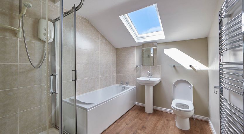 Photo of Begonia Bloom