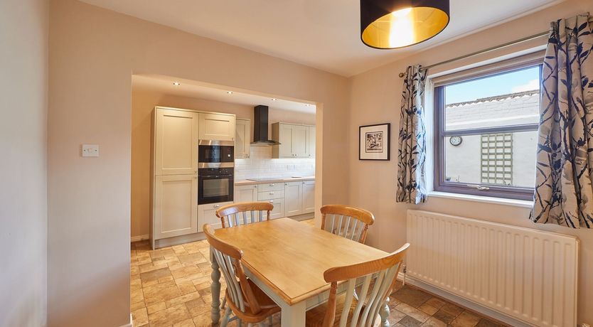 Photo of Begonia Bloom