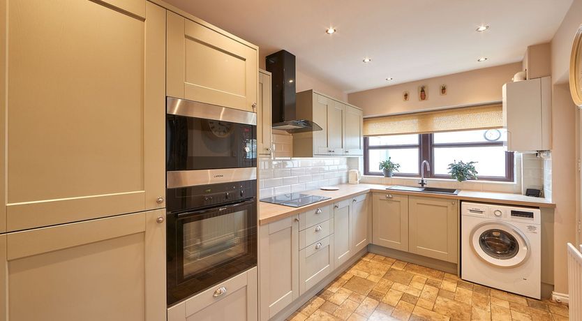 Photo of Begonia Bloom