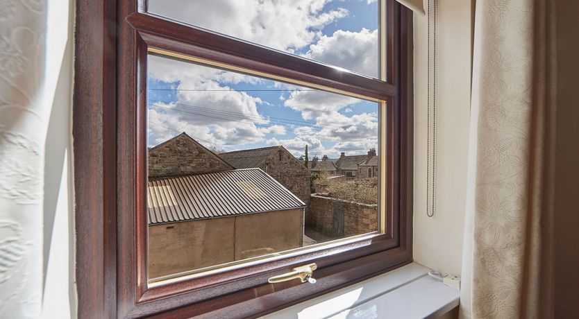 Photo of Begonia Bloom