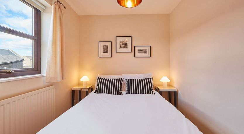 Photo of Begonia Bloom