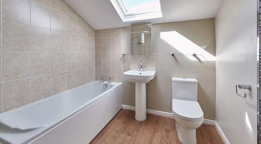 Photo of Begonia Bloom