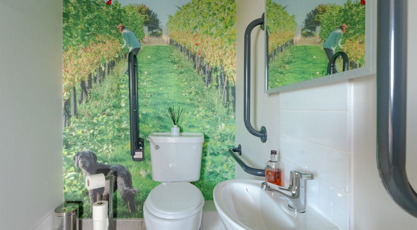 Photo of An East Anglian Vineyard