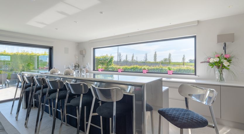 Photo of An East Anglian Vineyard