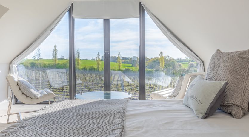 Photo of An East Anglian Vineyard