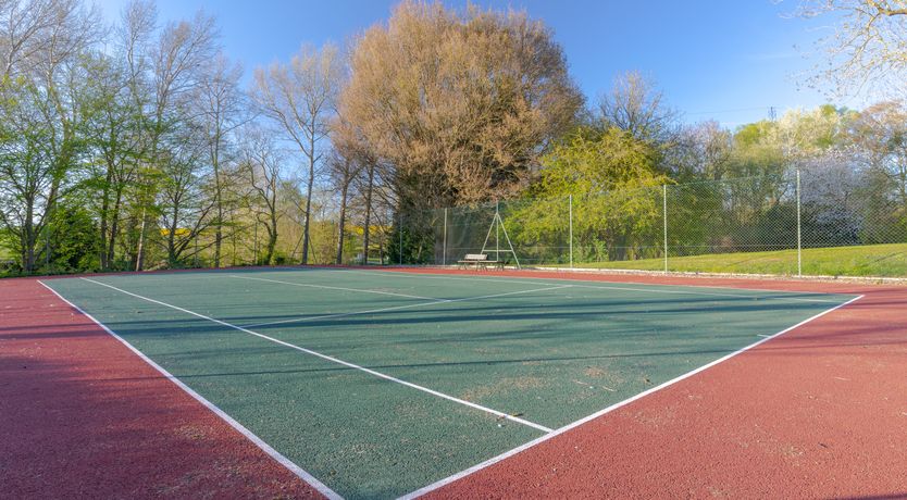 Photo of An East Anglian Vineyard