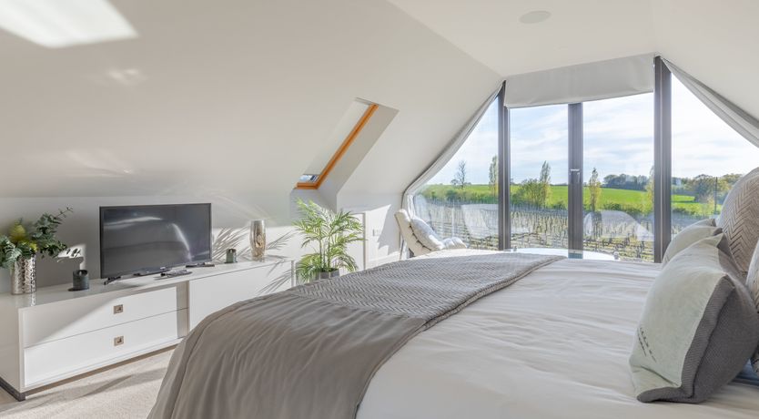 Photo of An East Anglian Vineyard