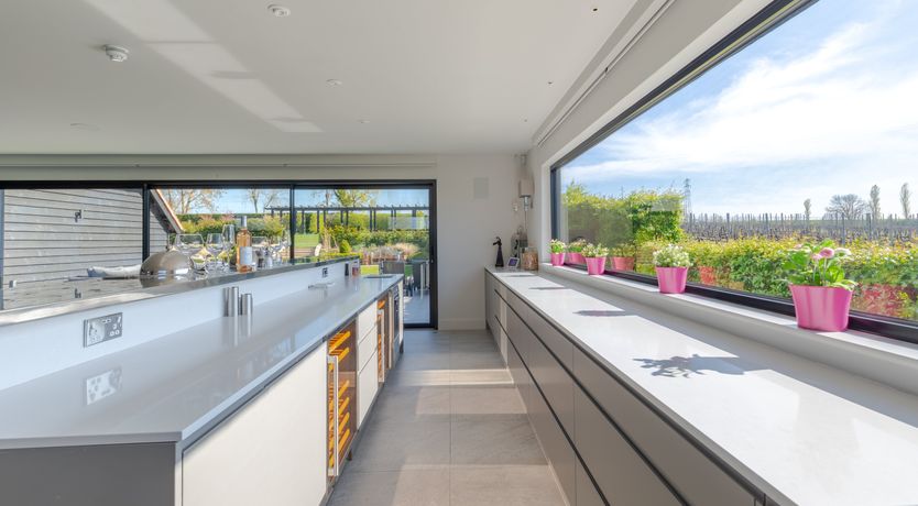 Photo of An East Anglian Vineyard