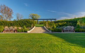 Photo of An East Anglian Vineyard