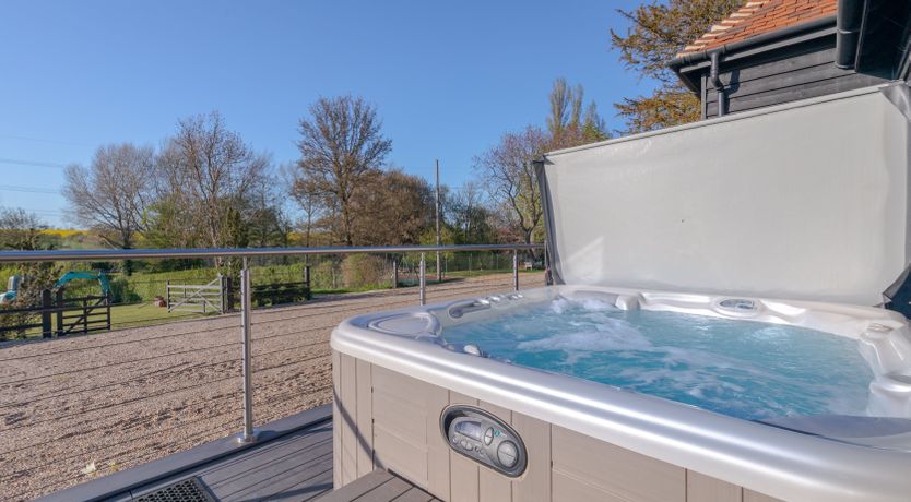 Photo of An East Anglian Vineyard