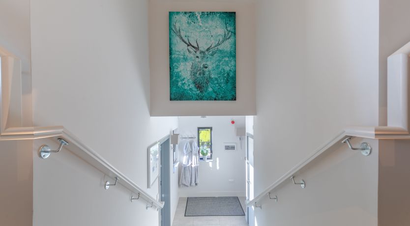 Photo of An East Anglian Vineyard