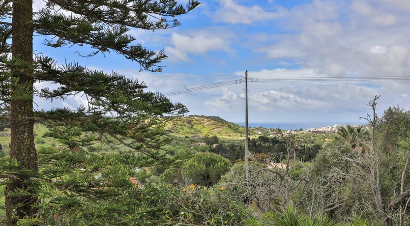 Photo of Sea & Seclusion