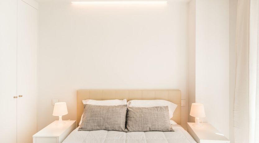 Photo of Colour Fiesta