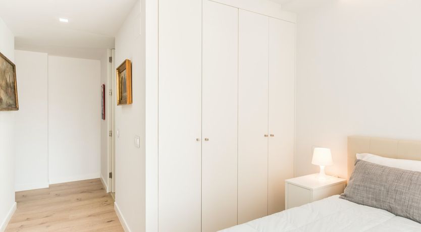 Photo of Colour Fiesta