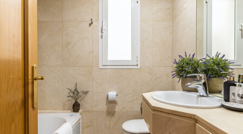 Photo of Almagro Dandy