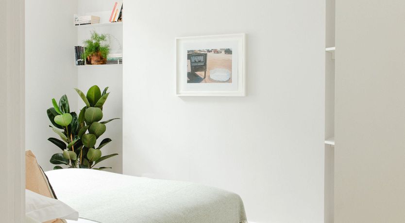 Photo of The Essentials