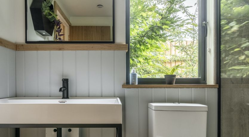 Photo of Teddy Bear's Picnic